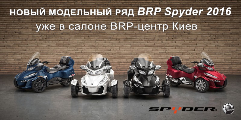 lineup-spyder